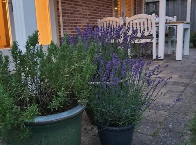 Semesterbostad Het Groene Hart Putten