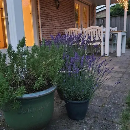 別荘 Het Groene Hart プッテン